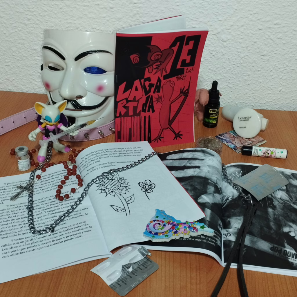 Fotografía de lanzamiento del Decimotercer número. en la izquierda  aparece una mascara de Anonymous con un collar rosa con pinchos. un muñeco de Rouge the Bat sujetando una jeringuilla. en la derecha aparece un lenzetto, un postal de una chica anime y un mechero. El fanzine aparece en el centro de color rojo oscuro