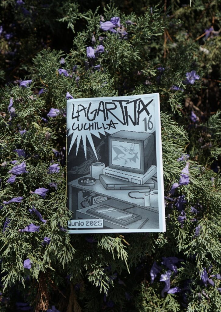 Fotografía vertical en el que se ve el fanzine en el centro. El fanzine es de color azul muy claro. se puede ver flores moradas en el fondo.