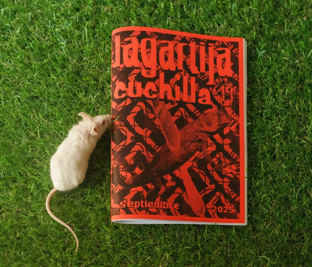 Fotografía de lanzamiento del decimonoveno número. es una fotografía cenital donde se ve la portada en el centro y un ratón asomándose viendo el fanzine. El fanzine es de color rojo. el suelo es césped. 