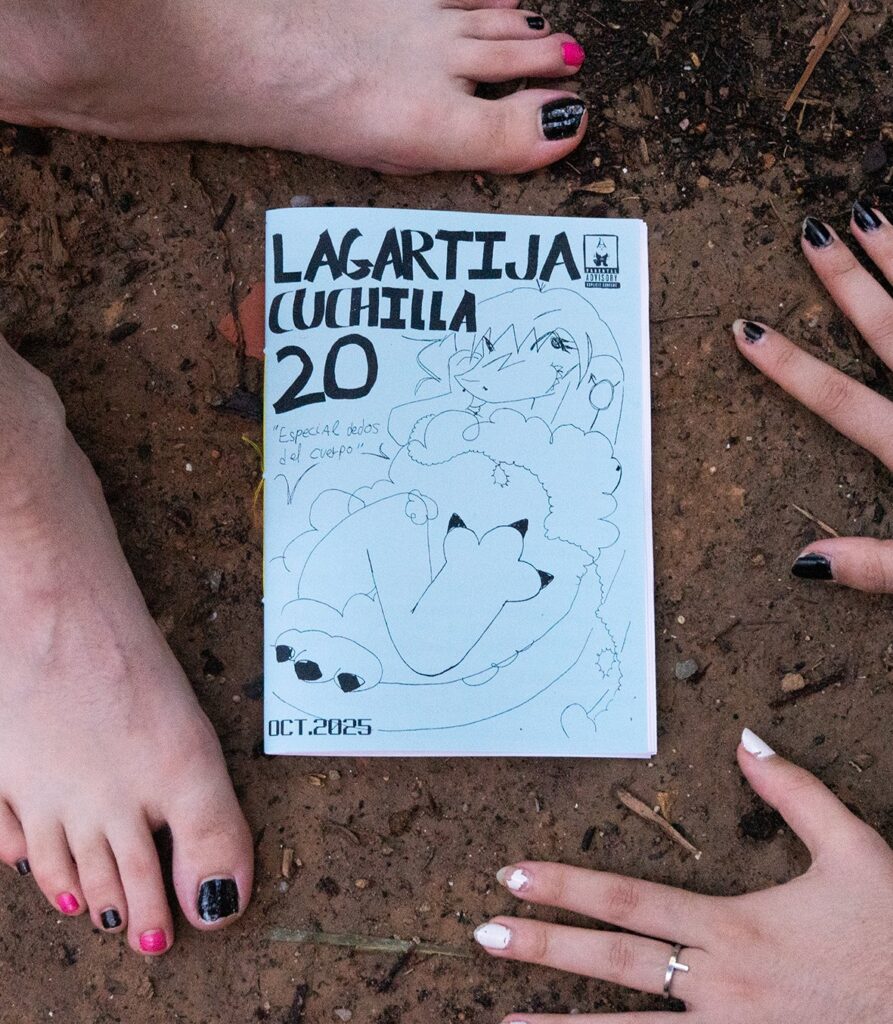 Fotografía de lanzamiento del vigésimo número. es un plano cenital en el que se ve el fanzine azul claro en el centro. rodeado por dos pies y dos manos. el suelo es tierra. 